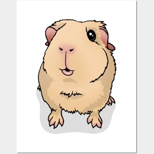 Cream Guinea Pig Posters and Art